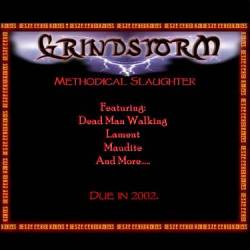 Grindstorm : Methodical Slaughter